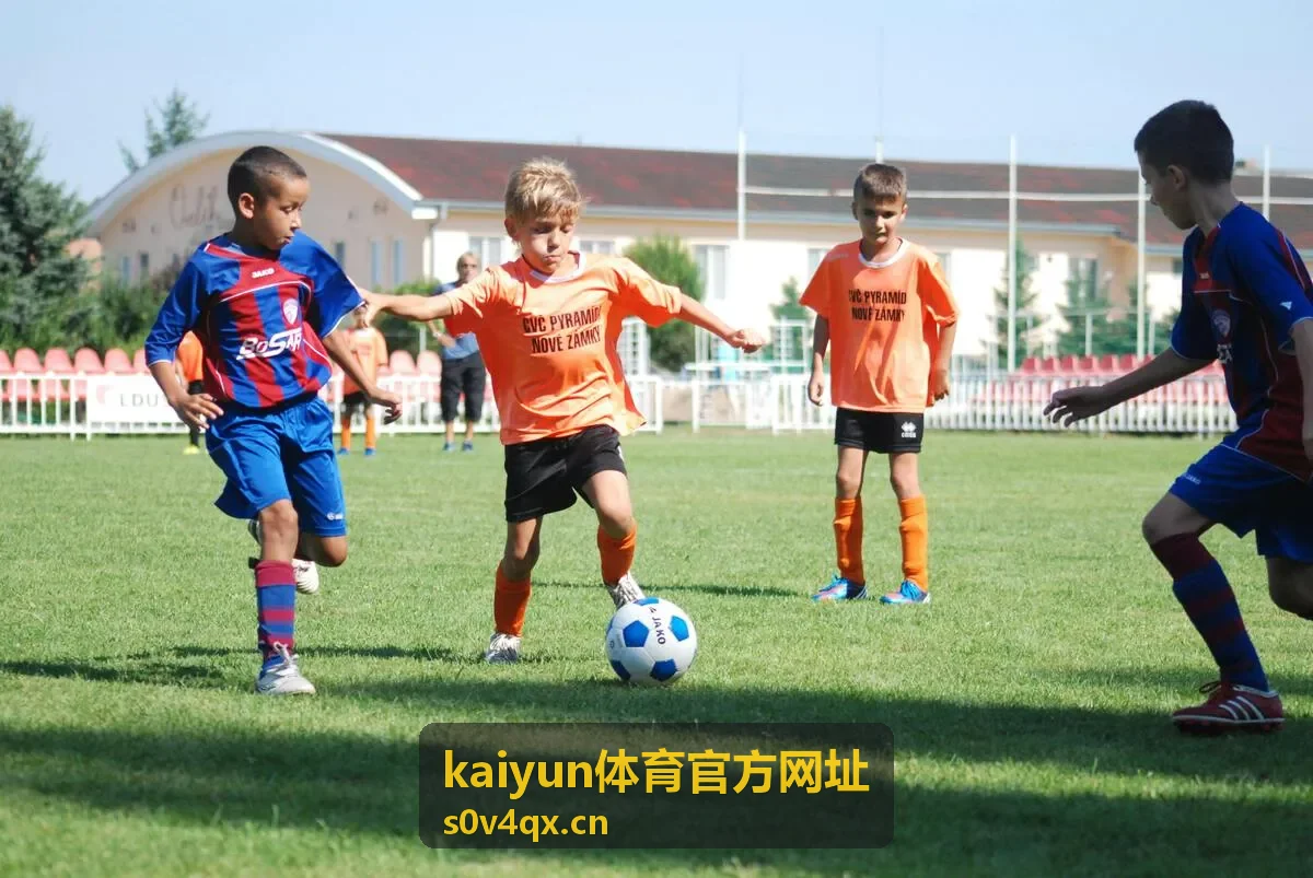 kaiyun体育官方网址官方网址导航条目封面