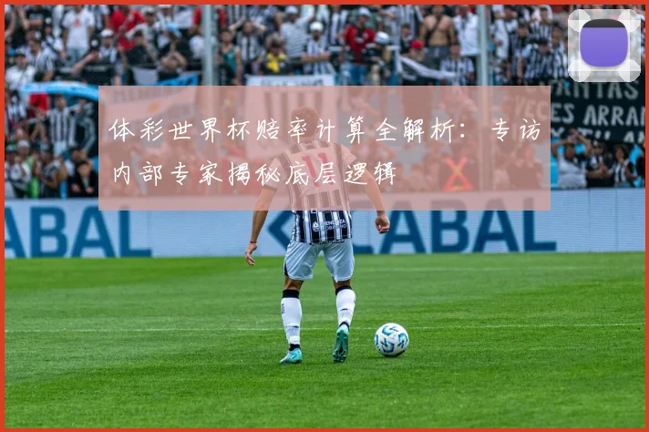 体彩世界杯赔率计算全解析：专访内部专家揭秘底层逻辑