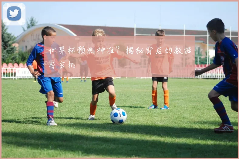 世界杯预测神准？揭秘背后的数据与玄机