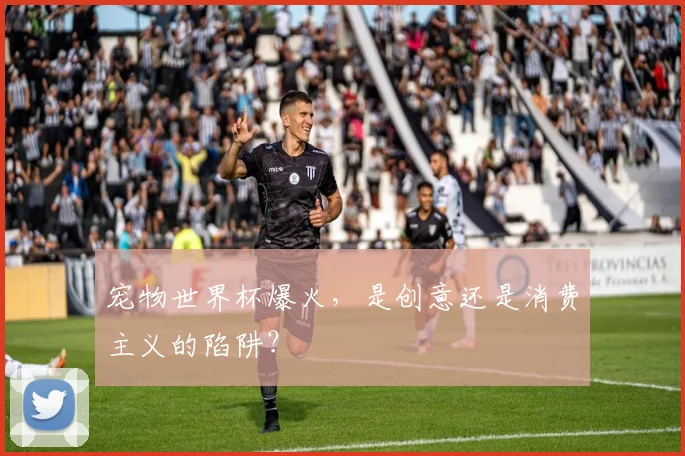 宠物世界杯爆火，是创意还是消费主义的陷阱？