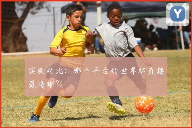 实测对比：哪个平台的世界杯直播最清晰？