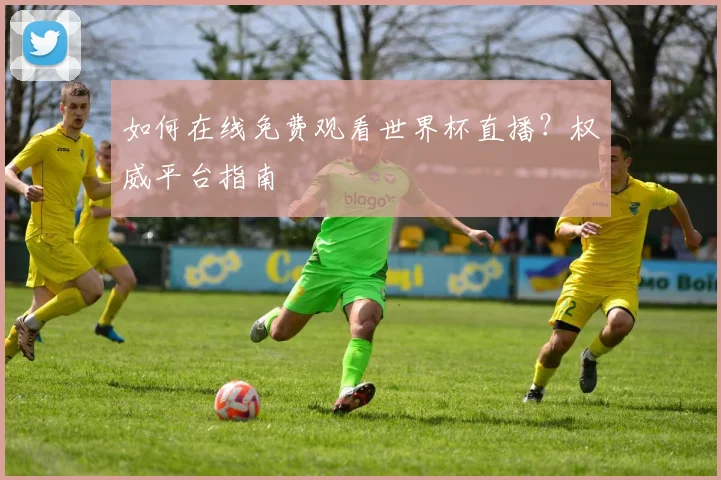 如何在线免费观看世界杯直播？权威平台指南