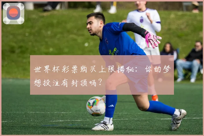 世界杯彩票购买上限揭秘:你的梦想投注有封顶吗?