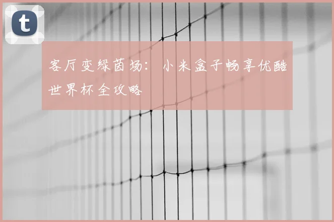 客厅变绿茵场：小米盒子畅享优酷世界杯全攻略