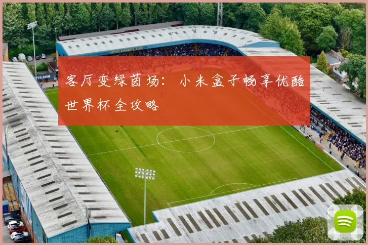 客厅变绿茵场：小米盒子畅享优酷世界杯全攻略
